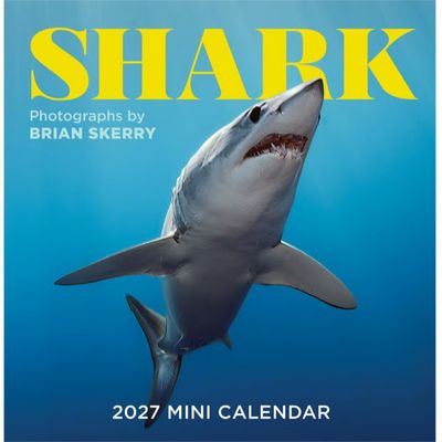 Sharks 2027 Calendar