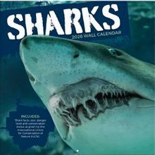 Sharks 2026 Wall Calendar