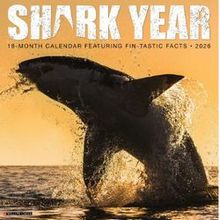 Shark Year 2026 Calendar
