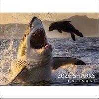 Sharks 2026 Calendar