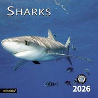 Sharks 2026 Calendar
