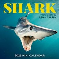 Sharks 2026 Calendar