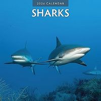Sharks 2026 Calendar