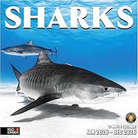 Sharks 2026 Calendar