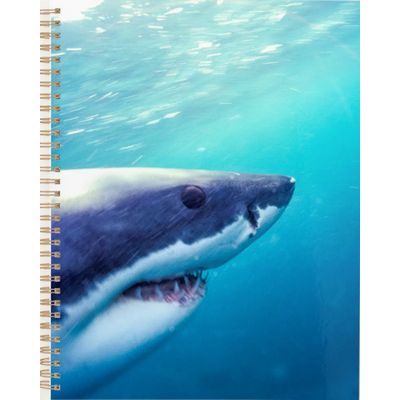 Great White Shark | South Africa Planner