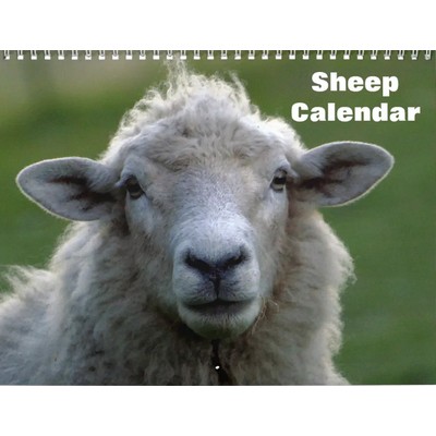 Sheep 2027 Wall Calendar