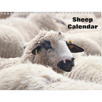 Sheep 2027 Wall Calendar