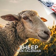 Sheep 2026 Wall Calendar