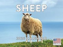 Sheep 2026 Wall Calendar