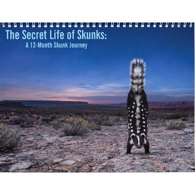 Skunks 2027 Wall Calendar