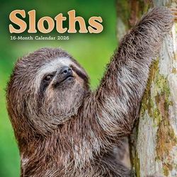 Sloths 2026 Mini Wall Calendar