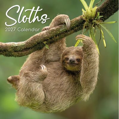 Sloths 2027 Wall Calendar