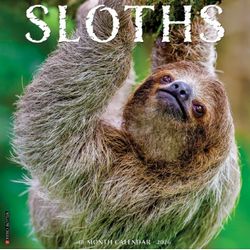 Sloths 2026 Wall Calendar