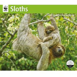Sloths WWF 2026 Wall Calendar