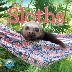 Hangin With Sloths 2026 Wall Calendar
