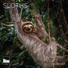 Sloths 2026 Wall Calendar