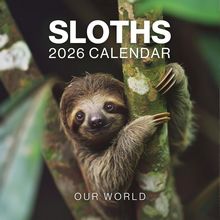 Sloths 2026 Wall Calendar