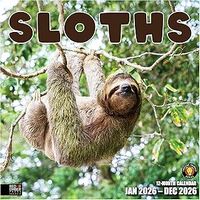 Sloths 2026 Wall Calendar