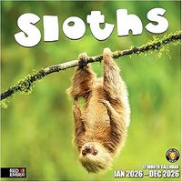 Sloths 2026 Wall Calendar