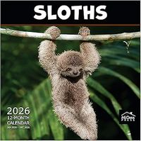 Sloths 2026 Wall Calendar