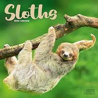Sloths 2026 Wall Calendar