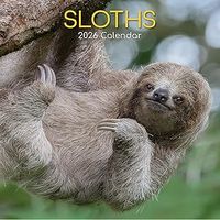 Sloths 2026 Wall Calendar