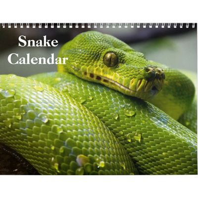 Snakes 2027 Wall Calendar