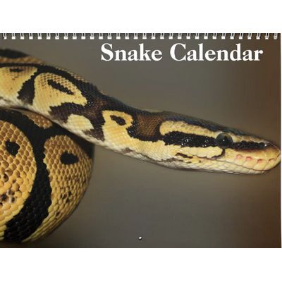 Snakes 2027 Wall Calendar