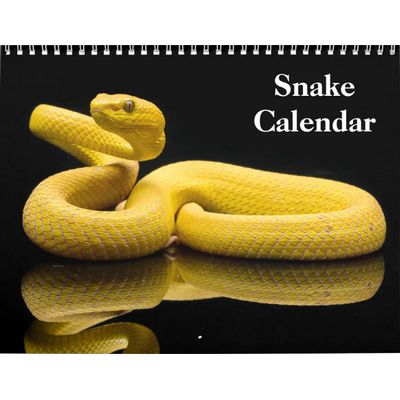 Snakes 2027 Wall Calendar
