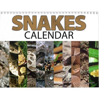 Snakes 2027 Wall Calendar