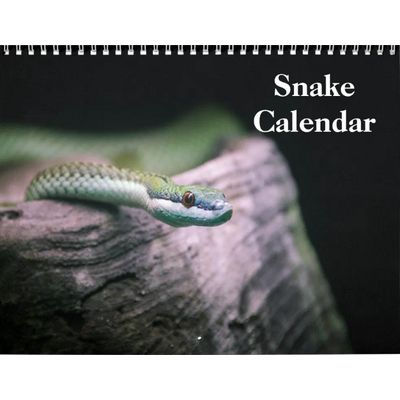 Snakes 2027 Wall Calendar