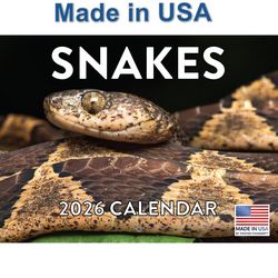 Snakes 2026 Calendar