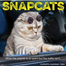 Snapcats 2026 Wall Calendar