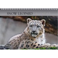Snow Leopard 2026 Calendar
