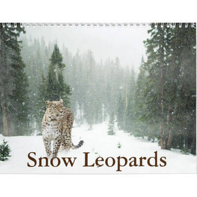 Snow Leopard 2027 Calendar