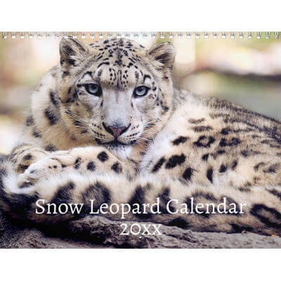 Snow Leopards 2027 Calendar