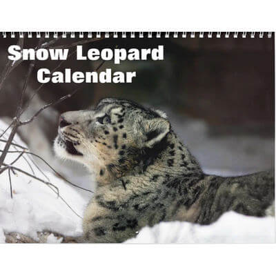 Snow Leopards 2027 Calendar