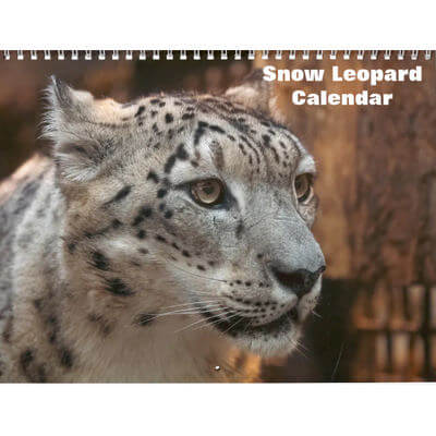 Snow Leopards 2027 Calendar
