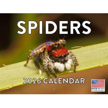 Spiders 2026 Calendar