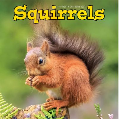 Squirrels 2027 Calendar
