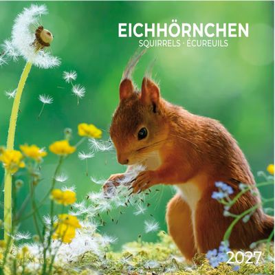 Squirrels 2027 Calendar