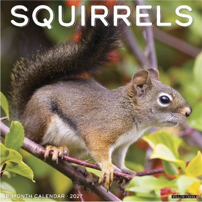 Squirrels 2027 Calendar