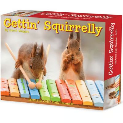 Gettin Squirrelly 2027 Desk Calendar