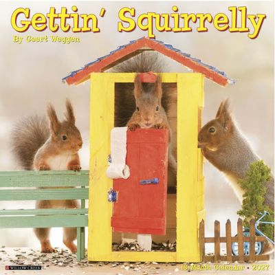 Getting Squirrelly 2027 Wall Calendar