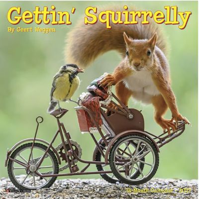 Getting Squirrelly 2027 Mini Wall Calendar