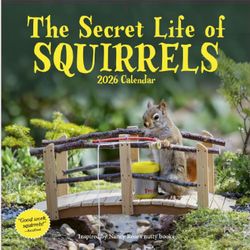 Squirrels 2026 Calendar