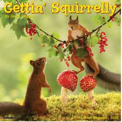 Squirrels 2026 Calendar