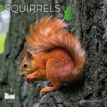 Squirrels 2026 Calendar