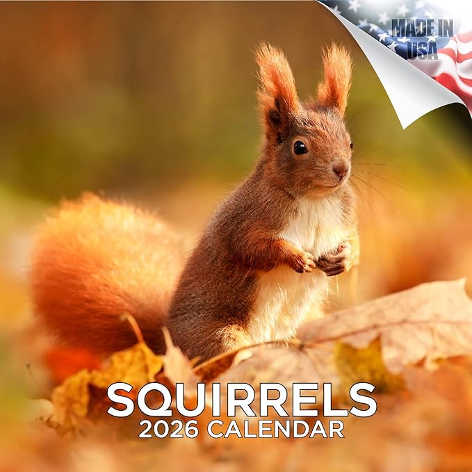 Squirrels 2026 Calendar
