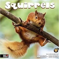 Squirrels 2026 Calendar